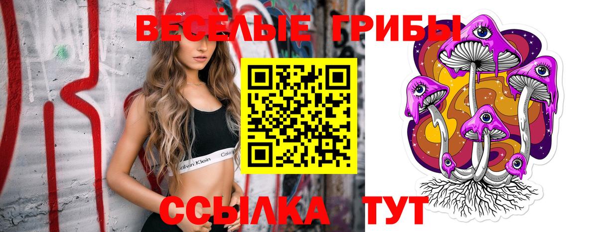 Галлюциногенные грибы MAGIC MUSHROOMS  Вход с VPN  Муравленко 