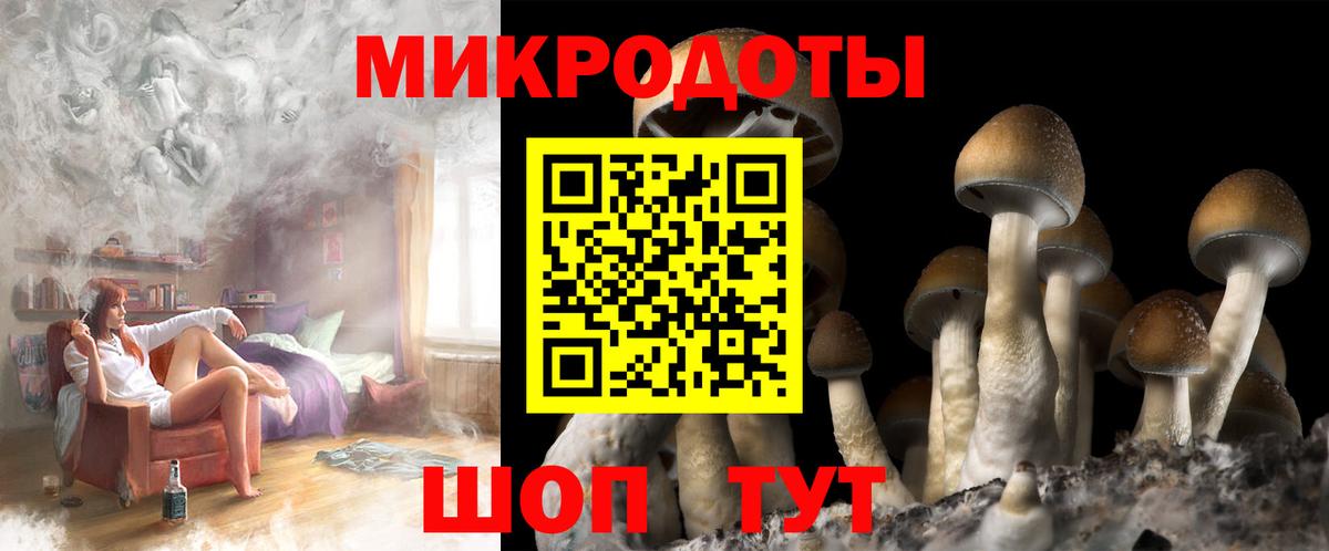 Псилоцибиновые грибы Psilocybine cubensis Муравленко